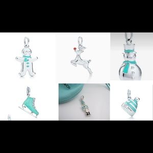 ISO: Tiffany and Co Christmas charms!!!☃️❤️